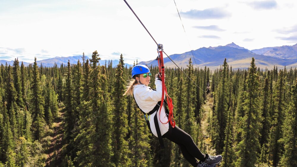 Guest zip-lining through the treetops near Talkeetna with mountain views